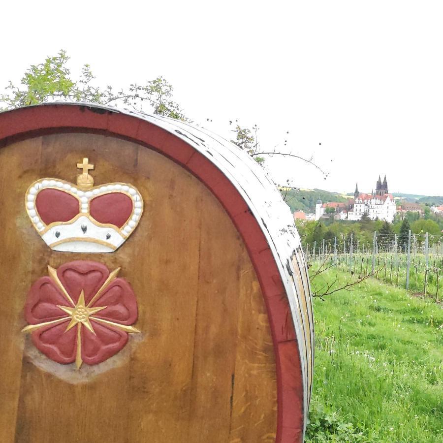 Goldrausch - Glanzvolle Ferienwohnung In Meissen Am Lutherplatz Bagian luar foto